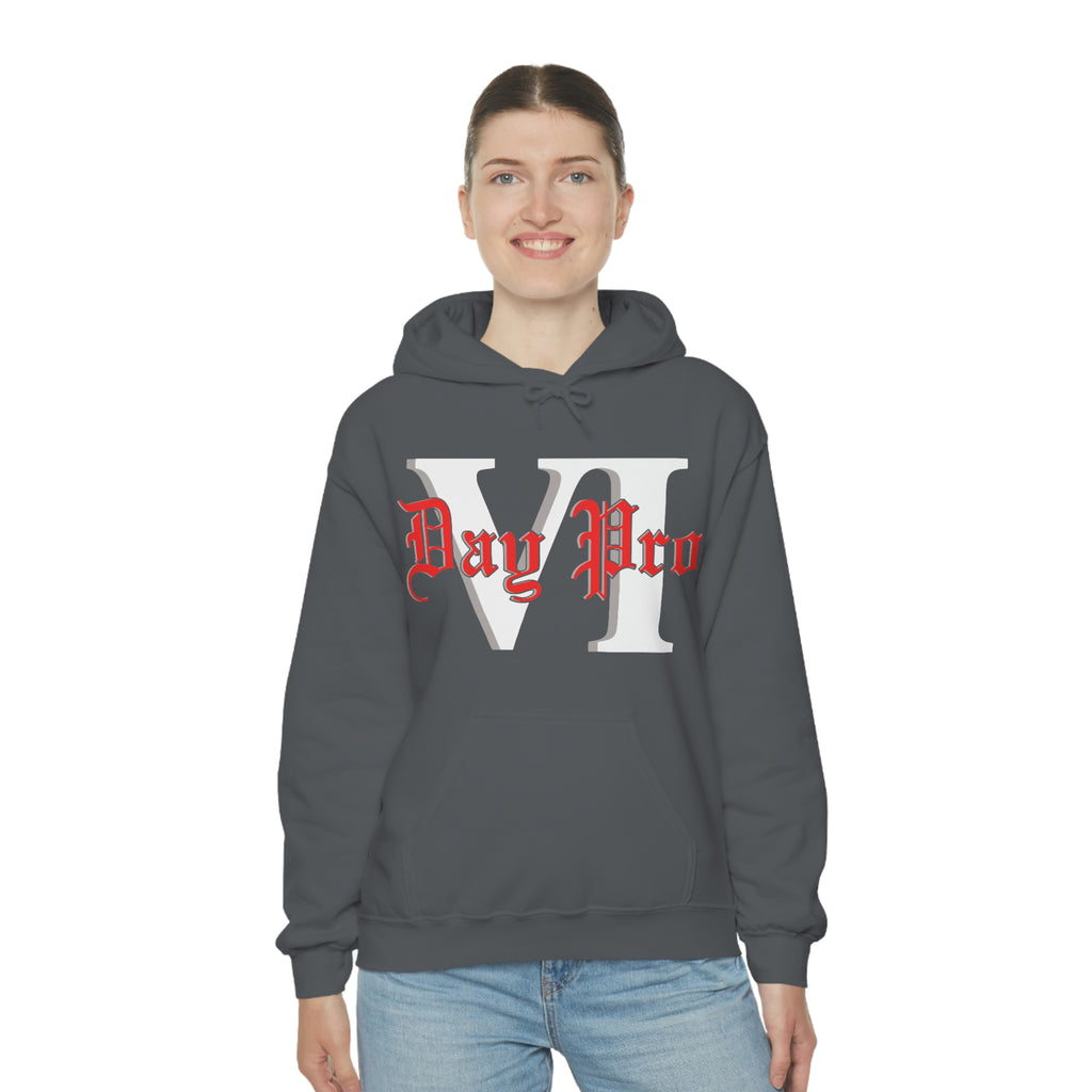 VI Day Pro Oversized Logo