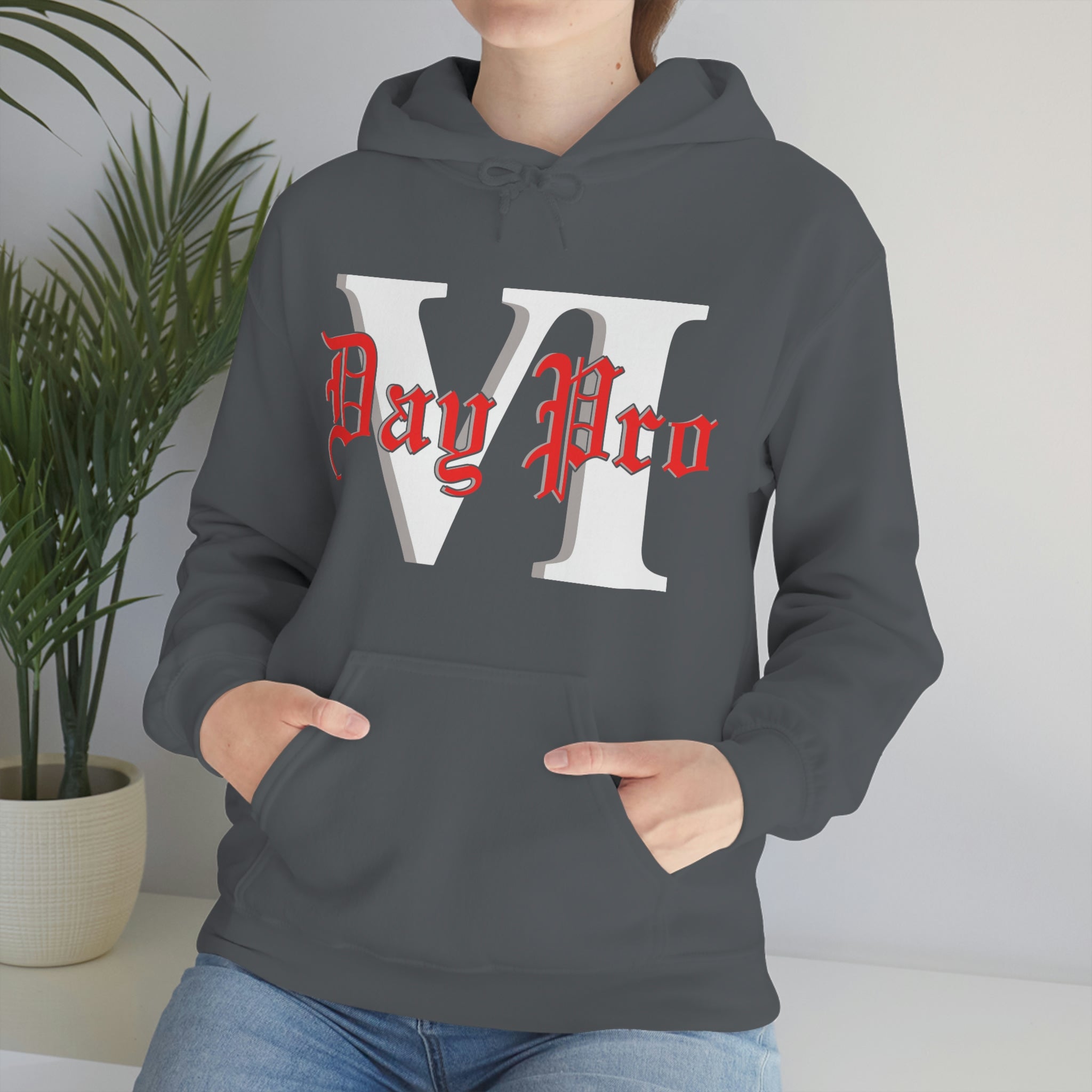 VI Day Pro Oversized Logo