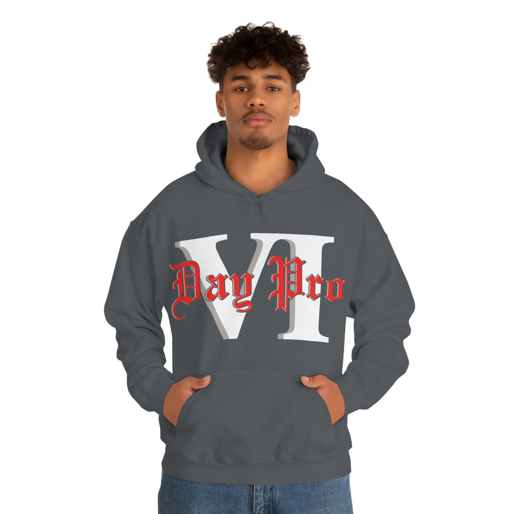 VI Day Pro Oversized Logo